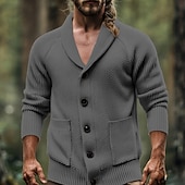 preiswerte Herren Strickjacke-Herren Strickjacke Kurzer Pullover Strickpullover Gerippt Kurz gestrickt Stricken Normale Oberteile Tasche Einfarbig Schalkragen Mode Klassisch Urlaub Alltagskleidung Bekleidung Herbst Winter grau