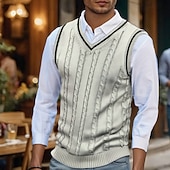 abordables Gilet pull-Homme Pull de Noël Chandails de Noël Pull Gilet pull de Noël Robe pull Côtelé Torsadé Tricoter Hauts Réguliers Tricoté Uni Col en V Mode Occasionnel Vacances Tenue quotidienne Vêtement Tenue Automne