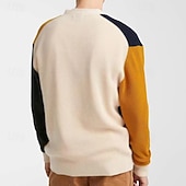 levne pánský svetr cardigan-Pánské Svetr Šaty svetr Svetr Cardigan Pletený svetr Rýhovaný Plést Krátké Barevné bloky Pletený Bez vzoru Do V Módní Přehozy přes ramena Ležérní Denní nošení Oblečení Podzim Zima Oranžová M L XL