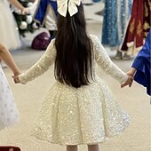 preiswerte Halloweenkostüme für Mädchen-Kinder Mädchen Partykleid Einfarbig Langarm Leistung Netz Prinzessin Süß Netzstoff Knöchellang Etui-Kleid Tüllkleid Sommer Frühling Herbst Kinder Schwarz Weiß Wein