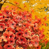 cheap Thanksgiving &amp; Fall Decoration-12 Bundles Fall Faux Mums for Outdoor Planters Artificial Fake Mums Fall Decorations for Outdoors Home Fall Autumn Faux Silk Flowers Plants Look Real UV Resistant for Outside Home Porch Patio