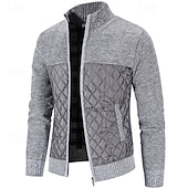preiswerte Herren Strickjacke-Herren Pullover Kleid Pullover Strickjacke Reißverschluss-Pullover Strickpullover Gerippt Stricken Normale Oberteile Gestrickt Gerippt Einfach Stehkragen Mode Schals Geschäft Lässig Bekleidung Herbst