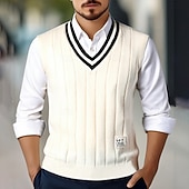 levne pánské svetry vesta-Pánské Svetrová vesta Šaty svetr Pulovrový svetr Vesta Pletený svetr Rýhovaný Kabel Plést Běžné topy Pletený Bez vzoru Do V Módní Na běžné nošení Dovolená Denní nošení Oblečení Podzim Zima Černá Bílá
