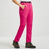 Недорогие женские брюки-карго-Жен. Брюки карго Флисовые штаны Брюки На каждый день Плюс бархат Полная длина Средняя талия Полотняное плетение Молния Карман Сохраняет тепло С защитой от ветра Удобный