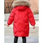 Copii Fete Jos Culoare solidă Modă Γούνινος Γιακάς Fermoar Buzunar Școală Palton Îmbrăcăminte exterioară 4-12 ani Iarnă Negru Roz Îmbujorat Roșu-aprins ieftine Jachetă de fetiță din puf și parka-Copii Fete Jos Culoare solidă Modă Γούνινος Γιακάς Fermoar Buzunar Școală Palton Îmbrăcăminte exterioară 4-12 ani Iarnă Negru Roz Îmbujorat Roșu-aprins