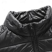 olcso Férfi pehelykabátok és párkák-Férfi Télikabát Puffer dzseki Párnázott dzseki Zseb Polyster Vakáció Hétköznapi viselet Randi Szokványos Divat Alkalmi Kényelmes Melegen tartani Tél Egyszínű / Sima szín Bor Fekete Tengerészkék