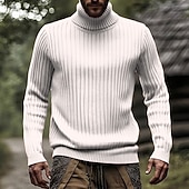 economico maglione pullover da uomo-Per uomo Maglione Maglione a maglia A Coste Maglia Top Regolari Lavorato a maglia Semplice Dolcevita Moda Essenziale Vacanza Abbigliamento quotidiano Abbigliamento Autunno Inverno Nero Bianco M L XL