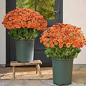 abordables Plantas y Flores Artificiales-5 paquetes de crisantemos artificiales de otoño, crisantemos al atardecer, flores artificiales de otoño para exteriores con margaritas y eucalipto, resistentes a los rayos UV, impermeables, a prueba de viento, plantas realistas de plena floración para jar