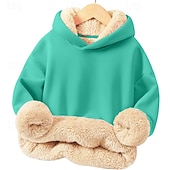 billiga Huvtröjor och tröjor för pojkar-Barn Unisex Pojkar hoodie med dragkedja Ensfärgat Långärmad Vinter Mode Förtjusande Polyester Utomhus