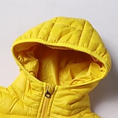 economico Giacca in piuma e parka per ragazzi-Da ragazzo 3D Liscio Cappotto Manica lunga Inverno Attivo Fantastico Poliestere Bambino 3-13 anni Sport Standard