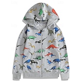 billiga Huvtröjor och tröjor för pojkar-Barn Pojkar hoodie med dragkedja Tecknat Långärmad Dragkedja Höst Grundläggande Bomull Utomhus