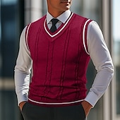 billige genser for menn-Herre Genser Genser vest Pullover genser Vest Riflet Strikke Vanlige topper Strikket Slank passform عادي V-hals Strikketøy Moderne Avslappet Dagligdagstøy Klær Høst Svart Hvit L XL 2XL
