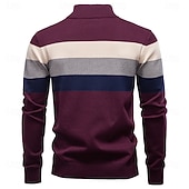 abordables Pulls et cardigans élites pour hommes-Homme Pull Tricoter Hauts Réguliers Demi-zip Bandes Rayé Col montant ancien Frais École Vacances Vêtement Tenue Printemps Automne Noir Violet S M L