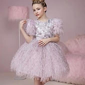 preiswerte Halloweenkostüme für Mädchen-Kinder Mädchen Partykleid Einfarbig Kurzarm Leistung Netz Prinzessin Süß Netzstoff Knöchellang Etui-Kleid Tüllkleid Sommer Frühling Herbst Kinder Schwarz Weiß Rosa