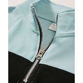 preiswerte Klassisches Poloshirt für Herren-Herren Poloshirts Viertel-Reißverschluss-Poloshirt Alltagskleidung Date Viertelreißverschluss Langarm Mode Basic Farbblock Patchwork Reißverschluss Frühling Herbst Normale Passform Schwarz Wei