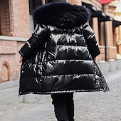 billige Jente dun- og pufferjakke-Barn Unisex Dun Hettegenser Yttertøy Helfarge Langermet Glidelås Frakk utendørs Daglig Svart Blå Høst Vinter 4 år +