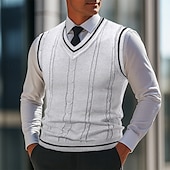 billige genser for menn-Herre Genser Genser vest Pullover genser Vest Riflet Strikke Vanlige topper Strikket Slank passform عادي V-hals Strikketøy Moderne Avslappet Dagligdagstøy Klær Høst Svart Hvit L XL 2XL