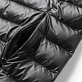 olcso Férfi pehelykabátok és párkák-Férfi Télikabát Puffer dzseki Párnázott dzseki Zseb Polyster Vakáció Hétköznapi viselet Randi Szokványos Divat Alkalmi Kényelmes Melegen tartani Tél Egyszínű / Sima szín Bor Fekete Tengerészkék