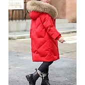 Copii Fete Jos Culoare solidă Modă Γούνινος Γιακάς Fermoar Buzunar Școală Palton Îmbrăcăminte exterioară 4-12 ani Iarnă Negru Roz Îmbujorat Roșu-aprins ieftine Jachetă de fetiță din puf și parka-Copii Fete Jos Culoare solidă Modă Γούνινος Γιακάς Fermoar Buzunar Școală Palton Îmbrăcăminte exterioară 4-12 ani Iarnă Negru Roz Îmbujorat Roșu-aprins