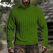 preiswerte Herrenpullover-Herren Pullover Strickpullover Gerippt Stricken Normale Oberteile Gestrickt Einfach Rollkragen Mode Basic Urlaub Alltagskleidung Bekleidung Herbst Winter Schwarz Weiß M L XL