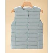 abordables Chalecos Largos-Mujer Chaleco Mantiene abrigado Cómodo Botones Casual Plano Vacaciones Fin de semana Botonadura Simple Regular Cuello redondo Ajuste regular Sin Mangas Ropa de calle Negro Blanco Azul cielo Otoño