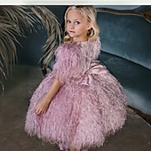 preiswerte Halloweenkostüme für Mädchen-Kinder Mädchen Partykleid Einfarbig Kurzarm Leistung Netz Prinzessin Süß Netzstoff Knöchellang Etui-Kleid Tüllkleid Sommer Frühling Herbst Kinder Schwarz Weiß Rosa