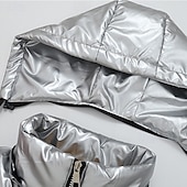 economico Gilet Puffer da Uomo-Per uomo Gilet imbottito Gilet Vacanza Quotidiano Data Moda Casual Autunno &amp; Inverno Tasca Nylon Caldo Confortevole Tinta unica Cerniera Con Cappuccio Vestibilità regolare Argento Nero Rosso Argento