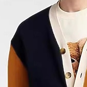 levne pánský svetr cardigan-Pánské Svetr Šaty svetr Svetr Cardigan Pletený svetr Rýhovaný Plést Krátké Barevné bloky Pletený Bez vzoru Do V Módní Přehozy přes ramena Ležérní Denní nošení Oblečení Podzim Zima Oranžová M L XL