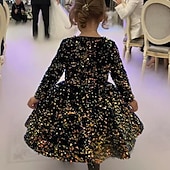 preiswerte Halloweenkostüme für Mädchen-Kinder Mädchen Partykleid Einfarbig Langarm Leistung Netz Prinzessin Süß Netzstoff Knöchellang Etui-Kleid Tüllkleid Sommer Frühling Herbst Kinder Schwarz Weiß Wein