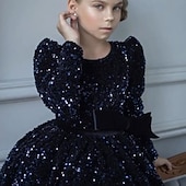 preiswerte Halloweenkostüme für Mädchen-Kinder Mädchen Partykleid Einfarbig Langarm Leistung Netz Prinzessin Süß Netzstoff Knöchellang Etui-Kleid Tüllkleid Sommer Frühling Herbst Kinder Schwarz Weiß Wein