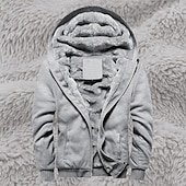 abordables Sweat à capuche en polaire-Homme Sweat à capuche Sweat à capuche zippé intégral Sweat à capuche en polaire Sweat à capuche doublé en polaire Noir Rouge Bleu Gris À capuche Uni Fermeture éclair Sport &amp; Loisir Occasionnel