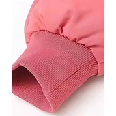 Copii Fete Jos Culoare solidă Modă Γούνινος Γιακάς Fermoar Buzunar Școală Palton Îmbrăcăminte exterioară 4-12 ani Iarnă Negru Roz Îmbujorat Roșu-aprins ieftine Jachetă de fetiță din puf și parka-Copii Fete Jos Culoare solidă Modă Γούνινος Γιακάς Fermoar Buzunar Școală Palton Îmbrăcăminte exterioară 4-12 ani Iarnă Negru Roz Îmbujorat Roșu-aprins