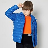 economico Giacca in piuma e parka per ragazzi-Da ragazzo 3D Liscio Cappotto Manica lunga Inverno Attivo Fantastico Poliestere Bambino 3-13 anni Sport Standard