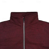 abordables Sudadera con capucha de vellón-Hombre Sudadera Sudadera de polar Sudadera con cremallera completa Verde Ejército Burdeos Gris Claro Gris Oscuro Cuello Mao Plano Cremallera Deporte Casual Diario Ropa de calle Fresco Ropa deportiva
