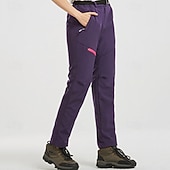 Недорогие женские брюки-карго-Жен. Брюки карго Флисовые штаны Брюки На каждый день Плюс бархат Полная длина Средняя талия Полотняное плетение Молния Карман Сохраняет тепло С защитой от ветра Удобный