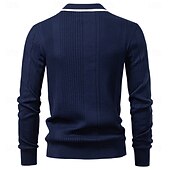 billige Herre Elite Genser og Cardigans-Herre Pullover genser Strikke Vanlige topper Fargeblokk Knapper Helfarge Polokrage Årgang Daglig Skole Hjem Klær Vår Høst Blå Brun S M L