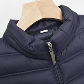 preiswerte Herren Steppweste-Herren Steppweste Weste Gilet Urlaub Täglich Date Mode Lässig Winter Tasche Polyester Warm Bequem Einfarbig Reisverschluss Stehkragen Normale Passform Schwarz Marineblau Grau Weste