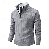 preiswerte Herrenpullover-Herren Pullover Pullover mit Viertelreißverschluss Gerippt Stricken Normale Oberteile Gestrickt Schmale Passform Einfach Stehkragen Strickware Zeitgenössisch Geschäft Lässig Bekleidung Herbst Winter