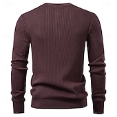 abordables Pulls et cardigans élites pour hommes-Homme Pull Tricoter Tunique Boutons Couleur Unie Henley ancien Quotidien École Maison Vêtement Tenue Printemps Automne Noir Rouge Bordeaux S M L