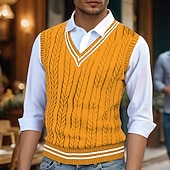 levne pánské svetry vesta-Pánské Svetrová vesta Šaty svetr Pulovrový svetr Vesta Pletený svetr Rýhovaný Kabel Plést Běžné topy Pletený Barevné bloky Do V Módní Na běžné nošení Dovolená Denní nošení Oblečení Podzim Zima Vínov