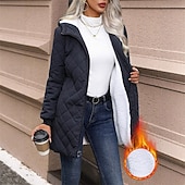 Жен. Повседневная куртка Сохраняет тепло Удобный Молния Карман Мода На открытом воздухе Полотняное плетение На выход выходные Молния Обычная Капюшон Стандартный Длинный рукав Верхняя одежда Черный Недорогие Куртки с утеплителем-Жен. Повседневная куртка Сохраняет тепло Удобный Молния Карман Мода На открытом воздухе Полотняное плетение На выход выходные Молния Обычная Капюшон Стандартный Длинный рукав Верхняя одежда Черный