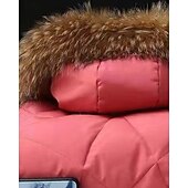 Copii Fete Jos Culoare solidă Modă Γούνινος Γιακάς Fermoar Buzunar Școală Palton Îmbrăcăminte exterioară 4-12 ani Iarnă Negru Roz Îmbujorat Roșu-aprins ieftine Jachetă de fetiță din puf și parka-Copii Fete Jos Culoare solidă Modă Γούνινος Γιακάς Fermoar Buzunar Școală Palton Îmbrăcăminte exterioară 4-12 ani Iarnă Negru Roz Îmbujorat Roșu-aprins