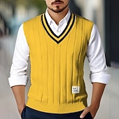 levne pánské svetry vesta-Pánské Svetrová vesta Šaty svetr Pulovrový svetr Vesta Pletený svetr Rýhovaný Kabel Plést Běžné topy Pletený Bez vzoru Do V Módní Na běžné nošení Dovolená Denní nošení Oblečení Podzim Zima Černá Bílá