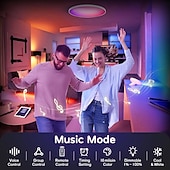 cheap Smart Home Lights-Smart LED Ceiling Light WiFi, RGB Flush Mount Ceiling Light Fixture, 16 Million DIY Colors, Compatible with Alexa Google Home, 2700K-6500K Ceiling Lights for Bedroom Living Room