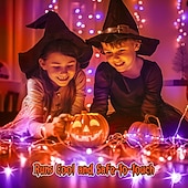 abordables Guirlandes lumineuses à piles-2m Guirlandes Lumineuses 20 LED Blanc Chaud Blanc Rouge Lumières de fil de cuivre Halloween Étanche Vacances Alimenté par piles