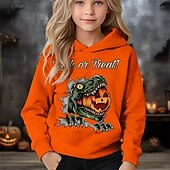 tanie Dziewczęce kostiumy na Halloween-Halloween Dla chłopców 3D Dynia Dinozaur Bluza z Kapturem Długi rękaw Wiosna Jesień Moda Moda miejska Dzieci 4-12 lat Kaptur Na zewnątrz Codzienny Regularny