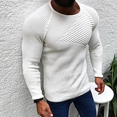 preiswerte Herrenpullover-Herren Pullover Strickpullover Gerippt Stricken Normale Oberteile Gestrickt Einfach Rundhalsausschnitt Mode Basic Urlaub Alltagskleidung Bekleidung Herbst Winter Schwarz Weiß M L XL