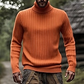 economico maglione pullover da uomo-Per uomo Maglione Maglione a maglia A Coste Maglia Top Regolari Lavorato a maglia Semplice Dolcevita Moda Essenziale Vacanza Abbigliamento quotidiano Abbigliamento Autunno Inverno Nero Bianco M L XL