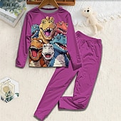 baratos Animais 3D do Menino-Para Meninos 3D Dinossauro Conjuntos de pijama Conjuntos de pijama com camiseta e calça Manga Longa Impressão 3D Outono Inverno Ativo Básico Infantil 4 anos + Gola Redonda Casa Diário Normal
