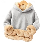 billiga Huvtröjor och tröjor för pojkar-Barn Unisex Pojkar hoodie med dragkedja Ensfärgat Långärmad Vinter Mode Förtjusande Polyester Utomhus